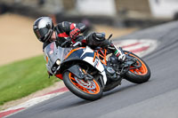 Middle Orange Group 2